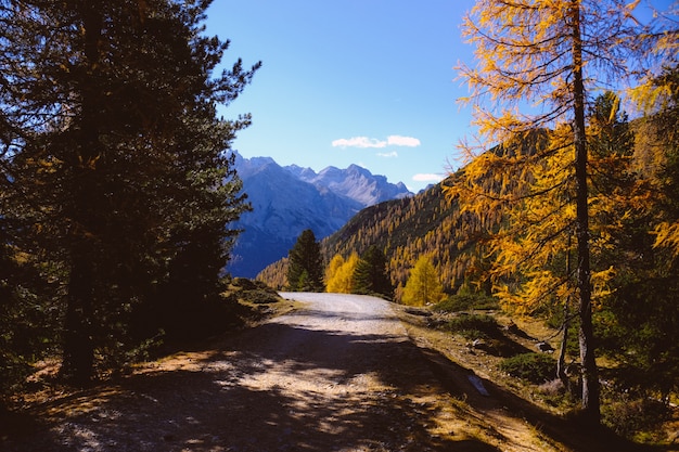 Hermoso paisaje de una carretera rodeada de hermosos árboles con altas montañas