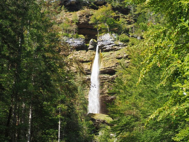 Hermoso paisaje de la cascada que atraviesa las rocas cubiertas de musgo en el bosque