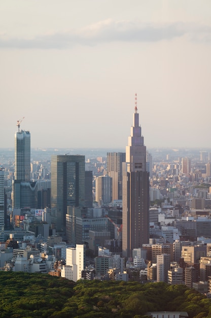 Hermoso paisaje de la ciudad con edificios altos de alto ángulo