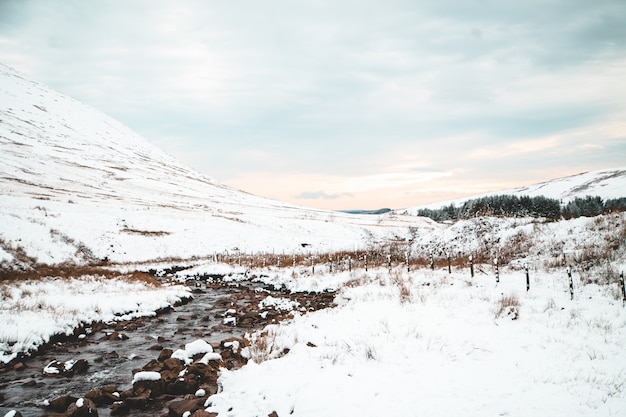 Hermoso paisaje de colinas blancas y bosques en el campo durante el invierno
