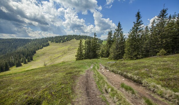 Hermoso paisaje en las colinas de Pohorje en Eslovenia