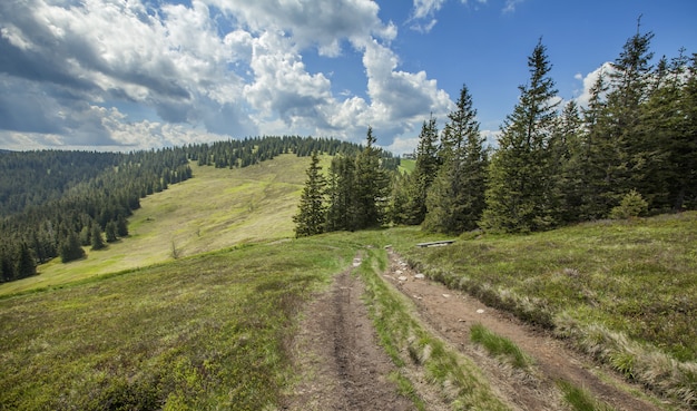 Hermoso paisaje en las colinas de Pohorje en Eslovenia