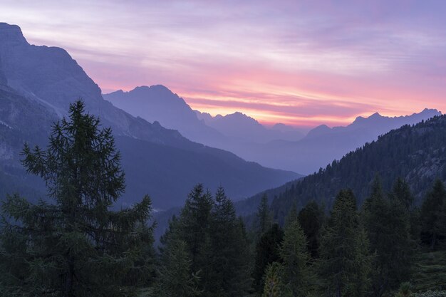 Hermoso paisaje de una cordillera rodeada de abetos bajo el cielo del atardecer