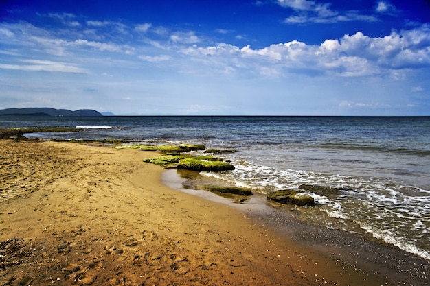 Hermoso paisaje de la costa del mar con muchas rocas cubiertas de musgo