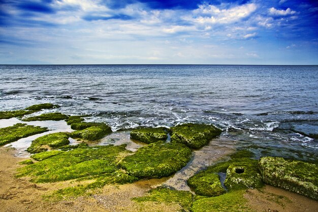 Hermoso paisaje de la costa del mar con muchas rocas cubiertas de musgo