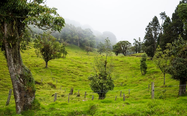 Hermoso paisaje costarricense con ricas colinas verdes