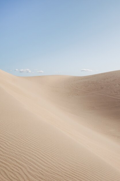 Hermoso paisaje de un desierto bajo el cielo despejado