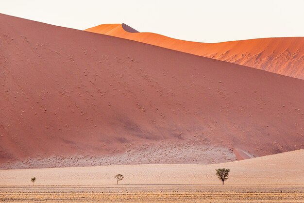 Foto gratuita hermoso paisaje de dunas de arena en el desierto de namib, sossusvlei, namibia