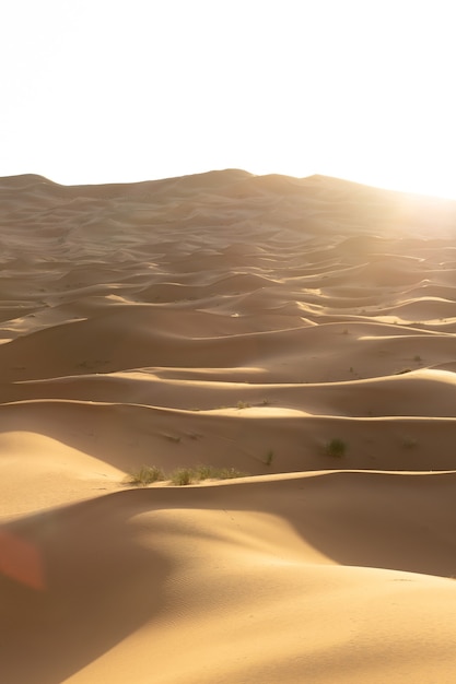 Hermoso paisaje de dunas de arena en una zona desértica en un día soleado