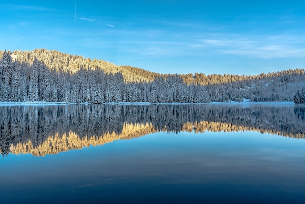 Hermoso paisaje de una gama de árboles que se refleja en el lago rodeado de montañas