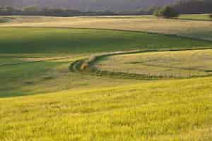 Foto gratuita hermoso paisaje de un greenfield en el campo en la región de eifel, alemania