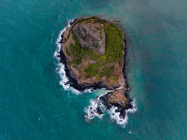 Hermoso paisaje de hawái con océano Foto gratis