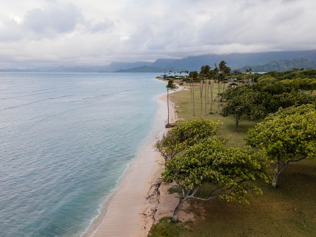 Hermoso paisaje de hawái con océano