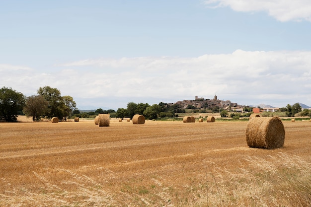 Hermoso paisaje con heno