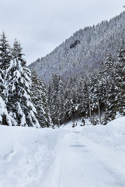 Hermoso paisaje invernal con nieve mixta. Fondo de invierno de naturaleza.