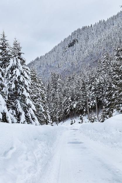 Hermoso paisaje invernal con nieve mixta. Fondo de invierno de naturaleza.