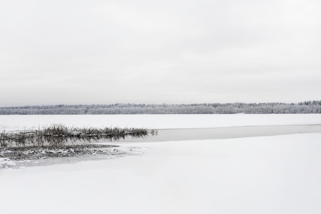 Foto gratuita hermoso paisaje invernal