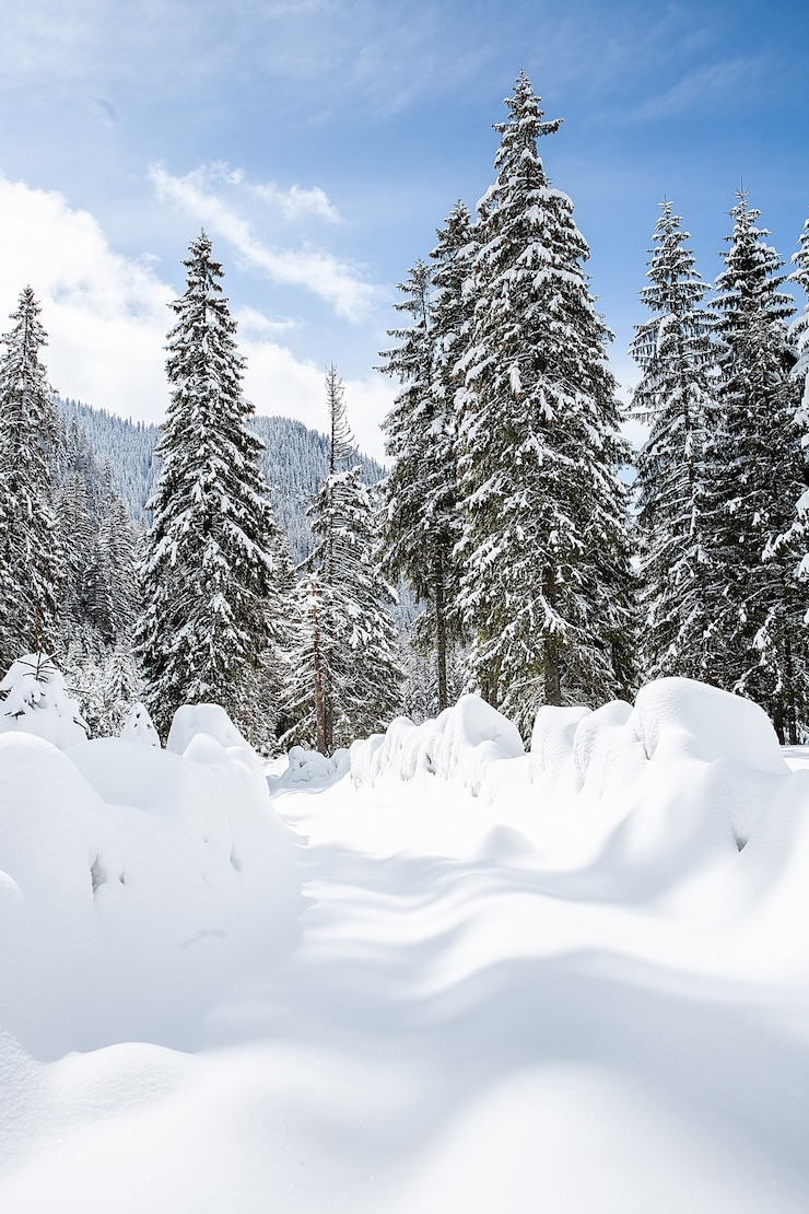Foto gratuito hermoso paisaje de invierno con árboles bajo fuertes nevadas. paisaje mágico