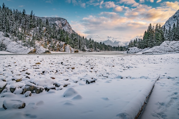 Hermoso paisaje de invierno en un bosque rodeado de colinas bajo el cielo nublado