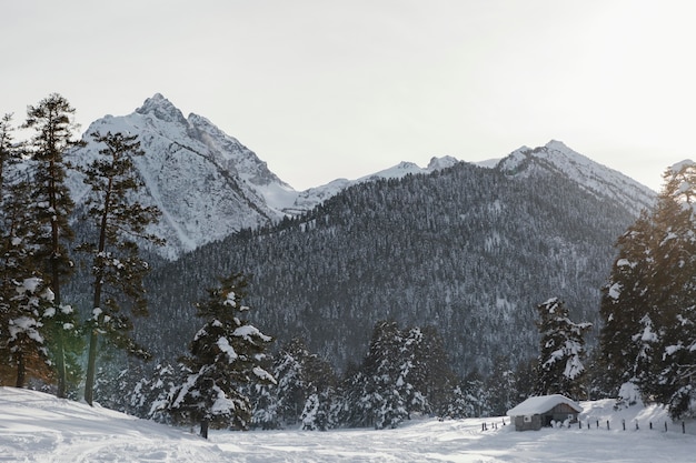 Hermoso paisaje de invierno