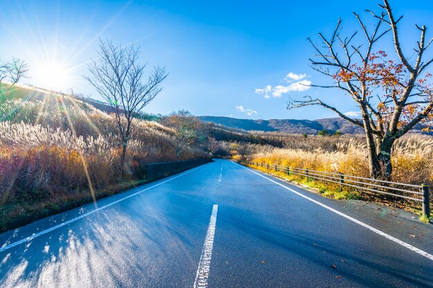 Hermoso paisaje del lado de la carretera alrededor de la montaña fuji