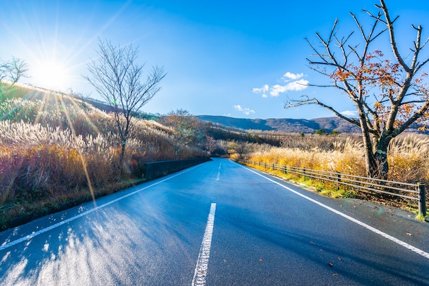 Hermoso paisaje del lado de la carretera alrededor de la montaña fuji