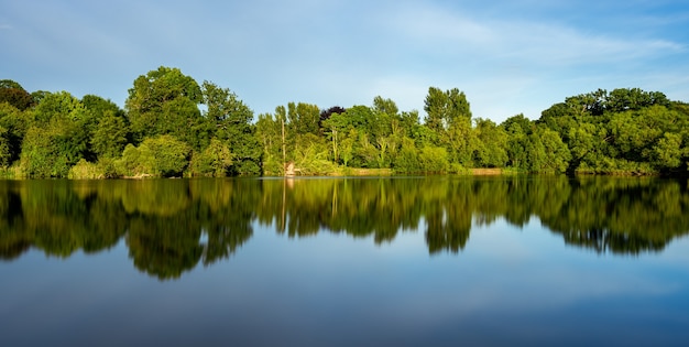 Hermoso paisaje de un lago con el reflejo de los árboles verdes circundantes od