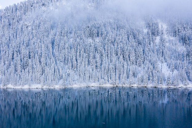 Hermoso paisaje de un lago rodeado de árboles cubiertos de nieve en los Alpes Suizos, Suiza