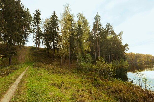 Hermoso paisaje de la madre naturaleza