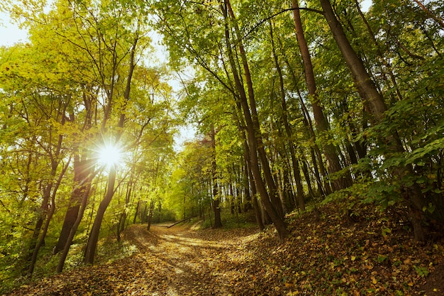 Hermoso paisaje de la madre naturaleza