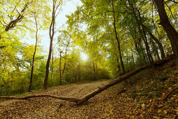 Hermoso paisaje de la madre naturaleza