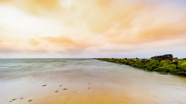 Hermoso paisaje de un mar bajo un cielo nublado durante una hermosa puesta de sol rodeada de vegetación