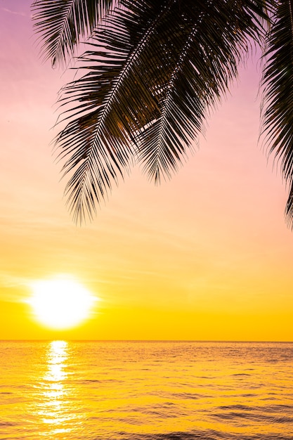 Hermoso paisaje de mar océano con silueta de palmera de coco al atardecer o al amanecer