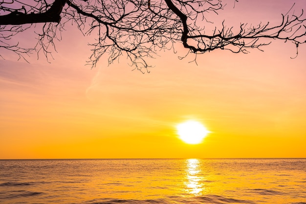 Hermoso paisaje de mar océano con silueta de palmera de coco al atardecer o al amanecer