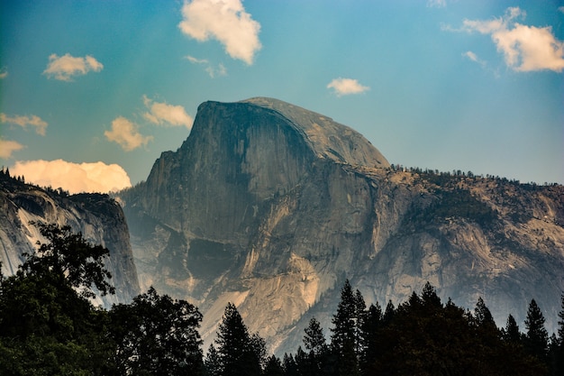 Hermoso paisaje de montaña y bosque grande