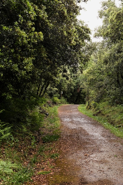 Hermoso paisaje de montaña en un día soleado