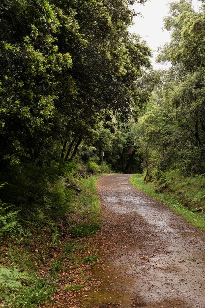 Hermoso paisaje de montaña en un día soleado