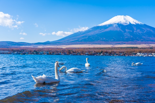 Foto gratuita hermoso paisaje de montaña fuji alrededor del lago yamanakako