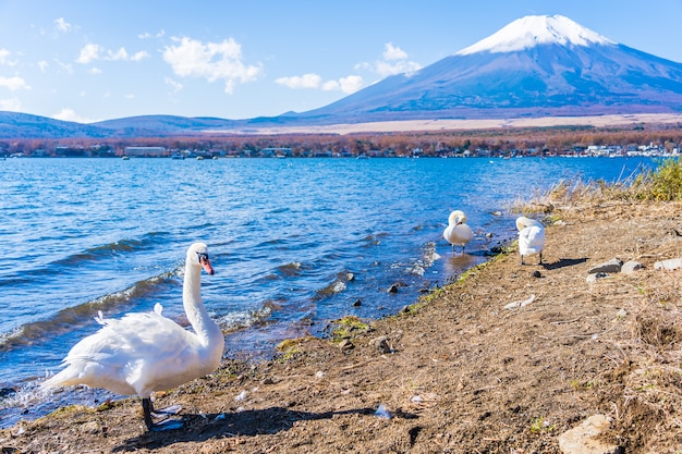 Foto gratuita hermoso paisaje de montaña fuji alrededor del lago yamanakako