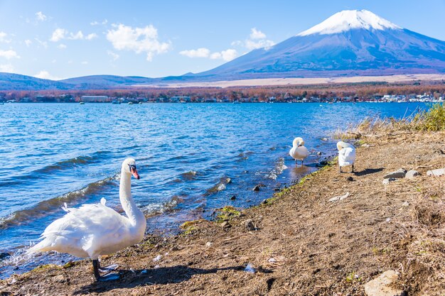 Hermoso paisaje de montaña fuji alrededor del lago yamanakako