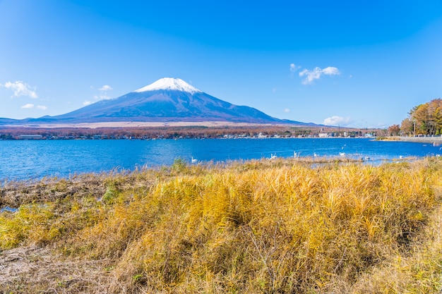 Foto gratuita hermoso paisaje de montaña fuji alrededor del lago yamanakako