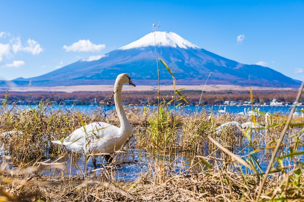 Hermoso paisaje de montaña fuji alrededor del lago yamanakako