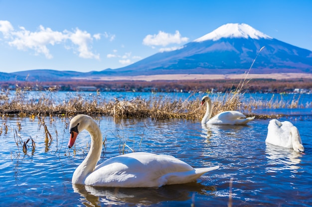 Foto gratuita hermoso paisaje de montaña fuji alrededor del lago yamanakako