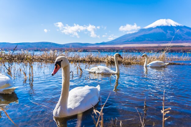 Hermoso paisaje de montaña fuji alrededor del lago yamanakako