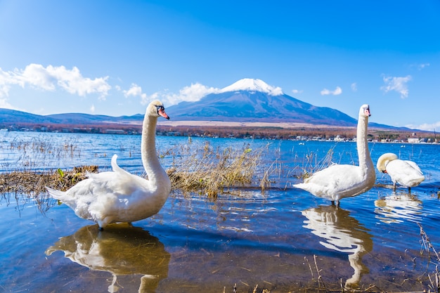 Foto gratuita hermoso paisaje de montaña fuji alrededor del lago yamanakako