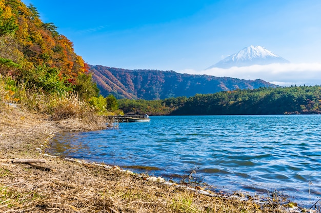 Hermoso paisaje de montaña fuji con árbol de hoja de arce alrededor del lago