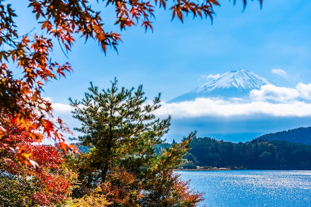 Hermoso paisaje de montaña fuji