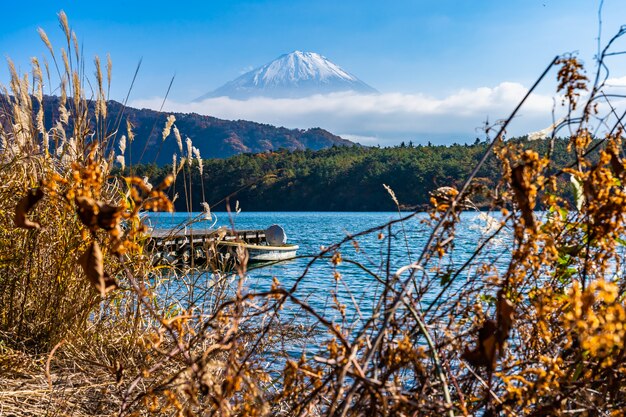 Hermoso paisaje de montaña fuji