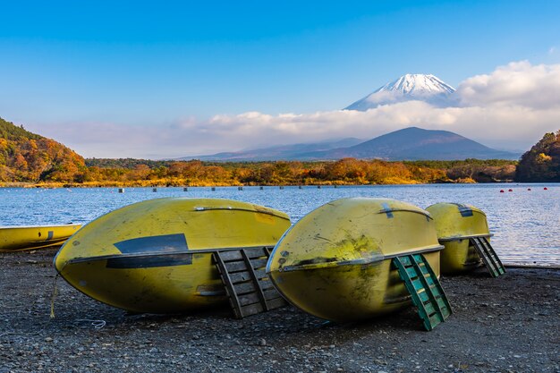 Hermoso paisaje de montaña fuji