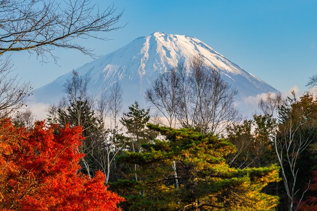 Hermoso paisaje de montaña fuji